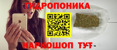 гашик Лесосибирск