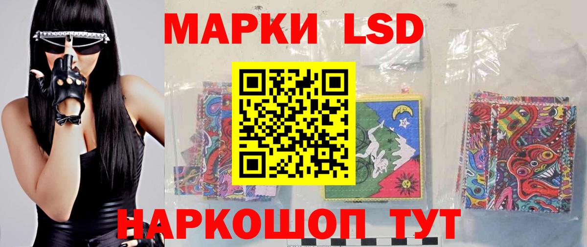 Электрогорск  LSD-25 экстази  Вход с VPN  Лсд 25 экстази кислота 